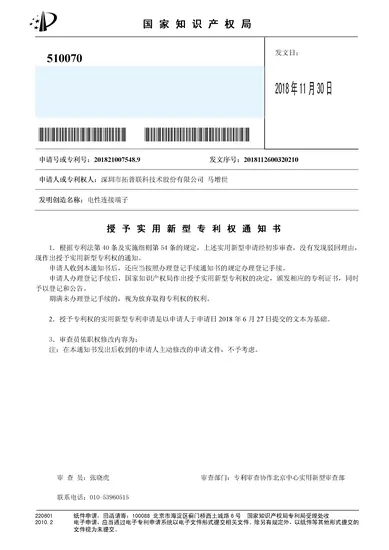 电性连接端子2018210075489