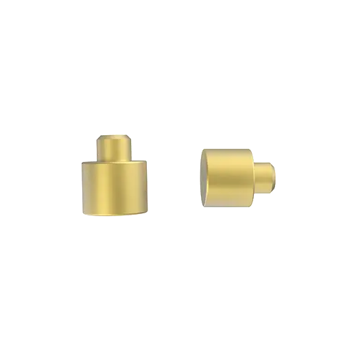 充电触点(实心 Pin)