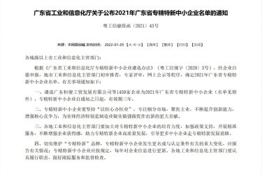 2021年广东省专精特新中小企业名单